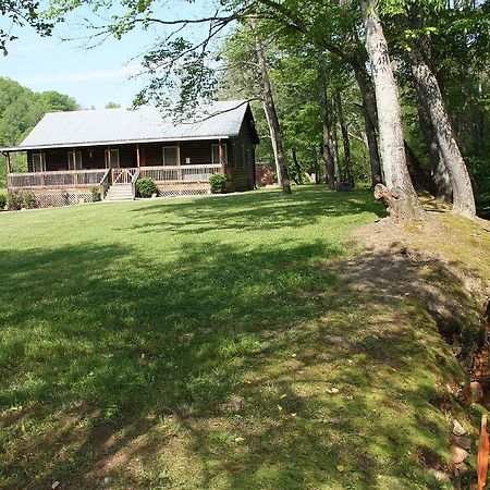 Вілла Climbing Bear Creekside Cabin Whittier Екстер'єр фото